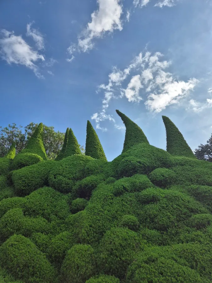 토피어리 로우앵글