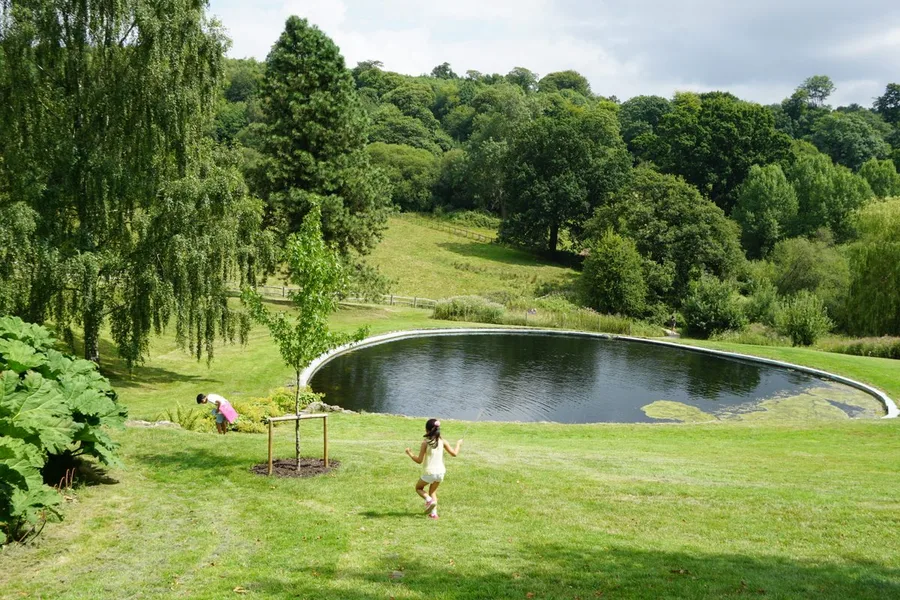 연못 정원의 오후