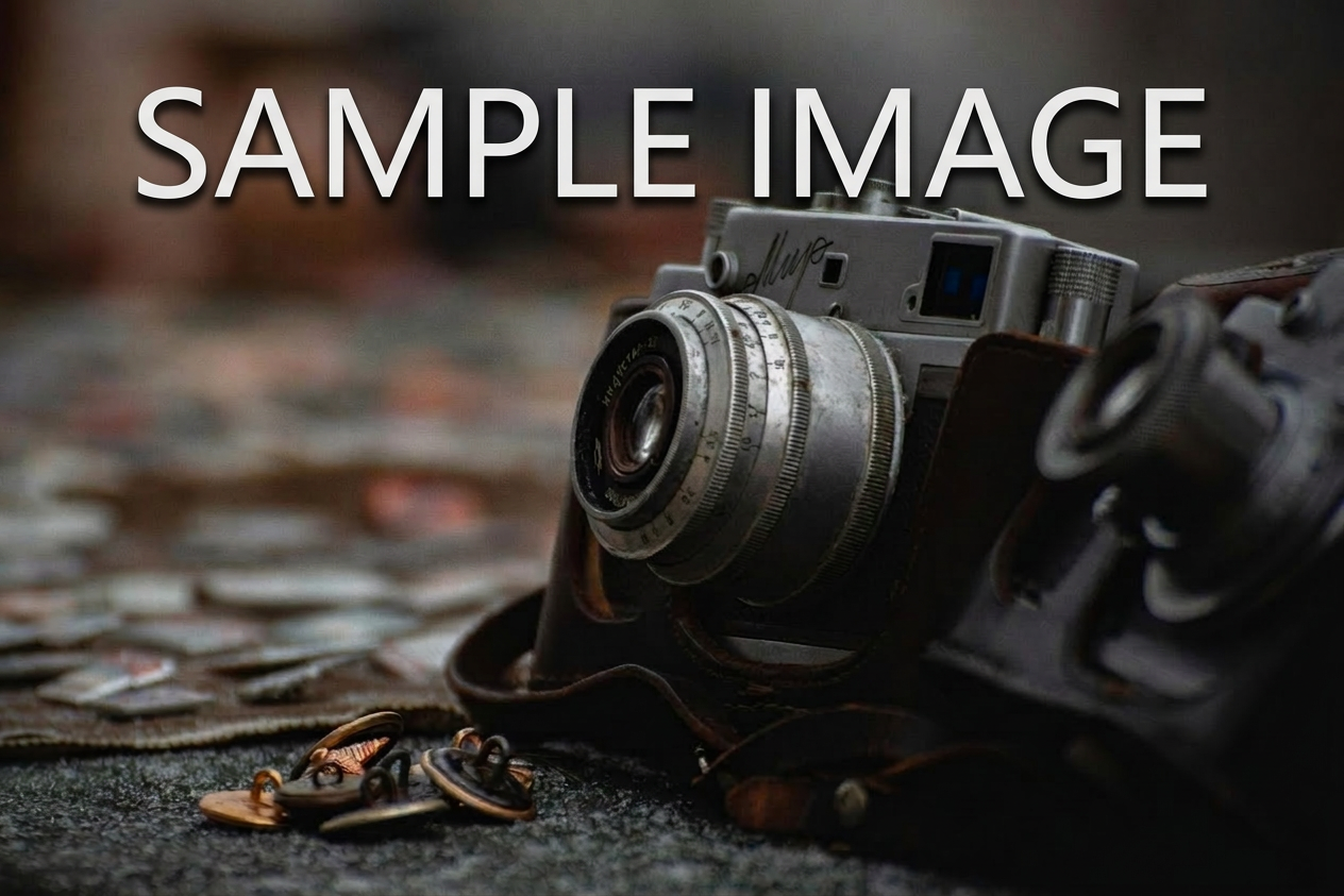 필름 그레인 효과 비교 — 그레인 추가 전후 사진 비교