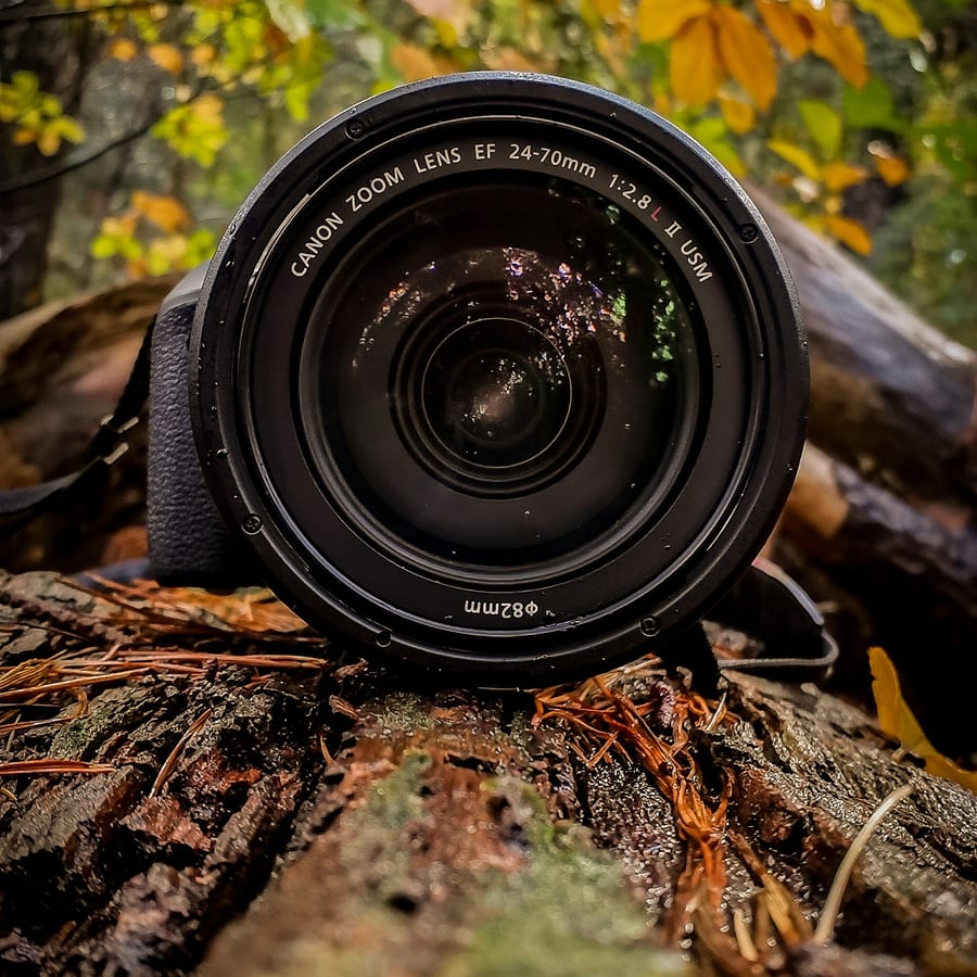 환경 포트레이트 사진