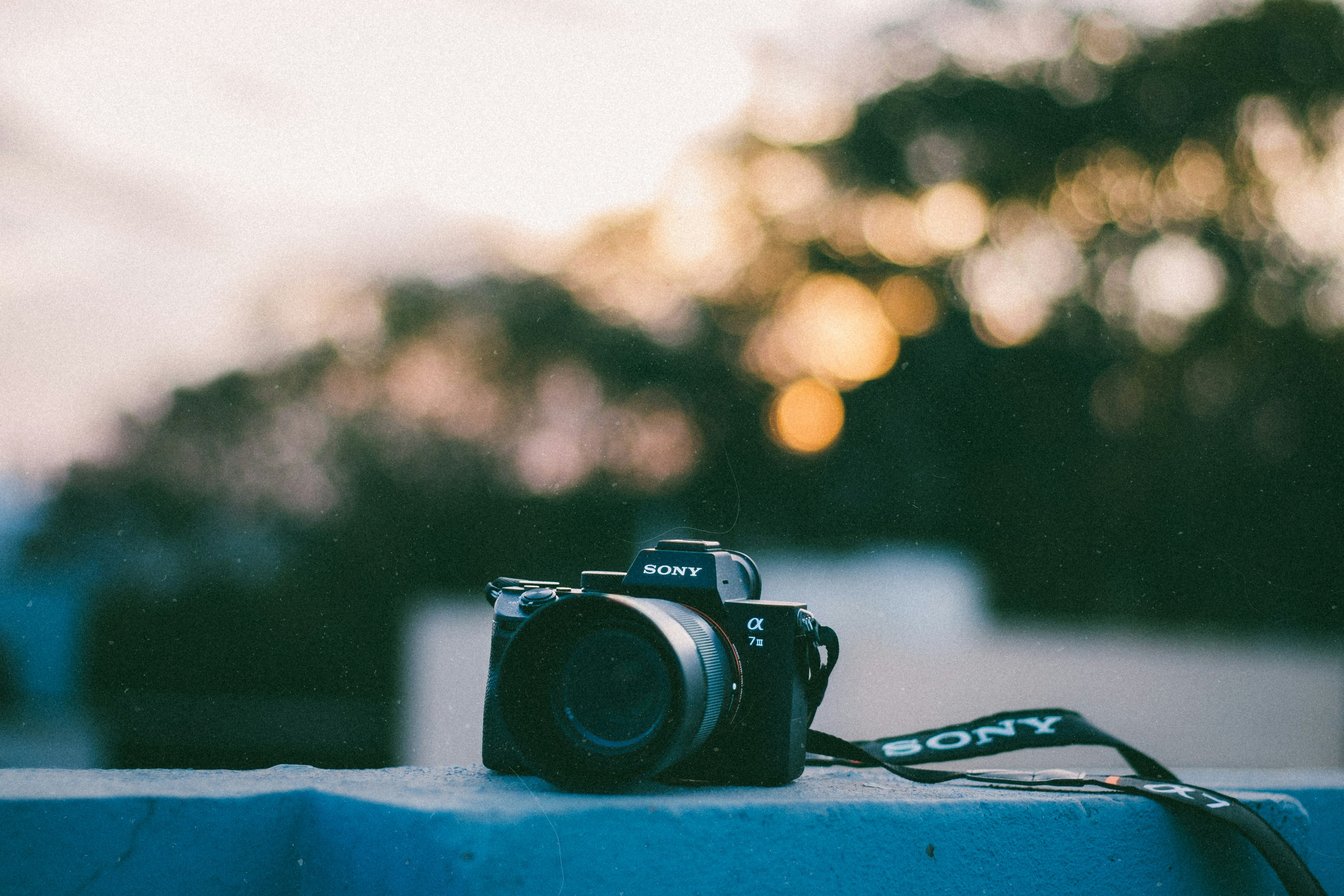 Sony 미러리스 카메라, 일몰 골든아워의 따뜻한 황금빛과 나무 보케 배경